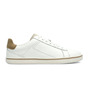 White / Beige