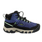 Skipper blue / Hemlock
