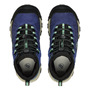 Skipper blue / Hemlock