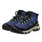 Skipper blue / Hemlock