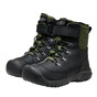 Black / bronze green