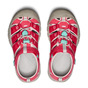 Raspberry/Pink-A-Boo