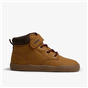 C61088 - Story Camel